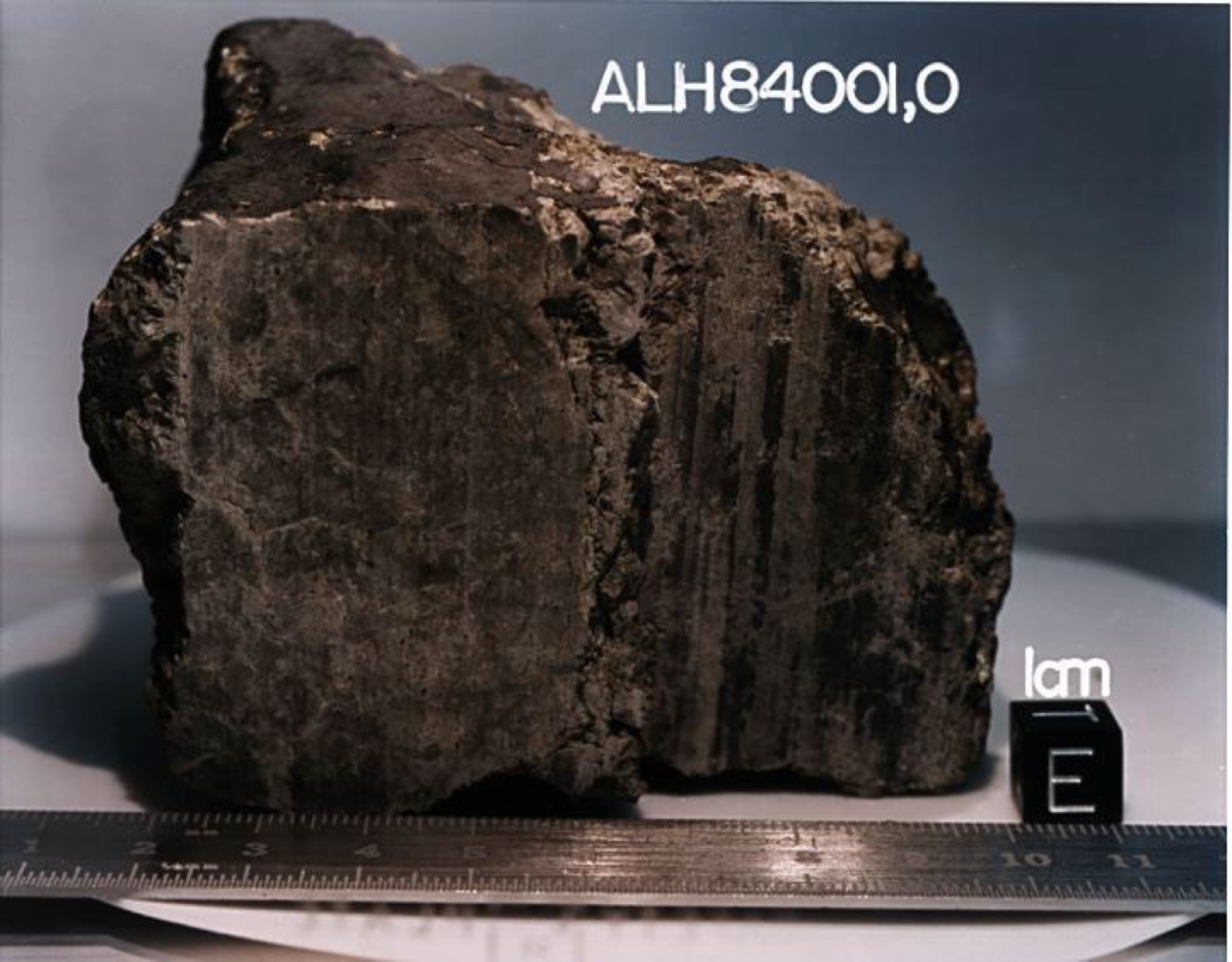 火星陨石ALH84001的实物照片